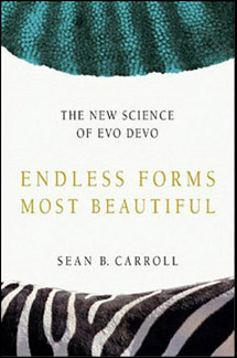 Endless Forms Most Beautiful