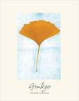 Ginko