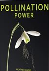 Pollination Power