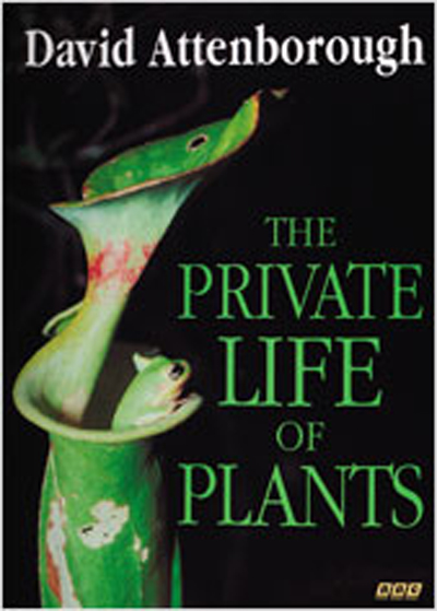 The Private Life of Plants