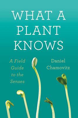 Now That's Wild What A Plant Knows