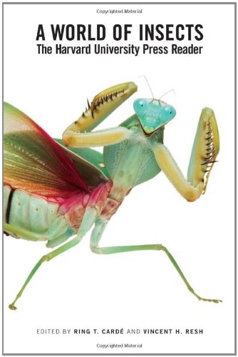World of Insects