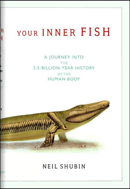 Your Inner Fish