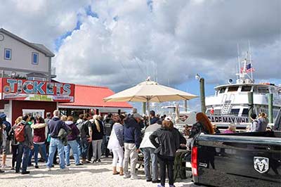 Sea Shepherd in Cape may