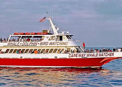 cape may whale watcher