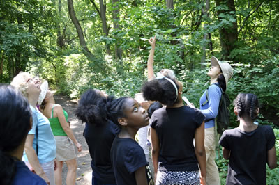 butterfly hike