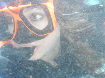 manatees