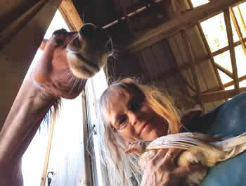 bonnie with her horse and a chicken