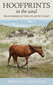 Hoofprints in the Sand: Wild Horses of the Atlantic Coast