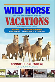 Wild Horse Vacations: Your Guide to the Atlantic Wild Horse Trail