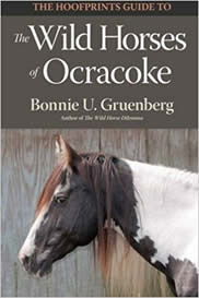 The Hoofprints Guide to the Wild Horses of Ocracoke Island, NC