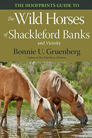 The Hoofprints Guide to the Wild Horses of Shackleford Banks and Vicinity