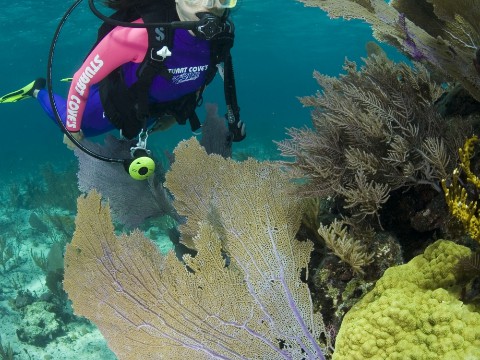 Nicole on dive