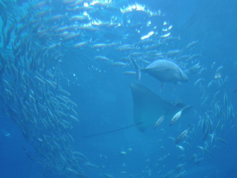 Novandtrip 066