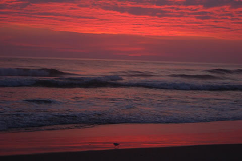 outer banks trip